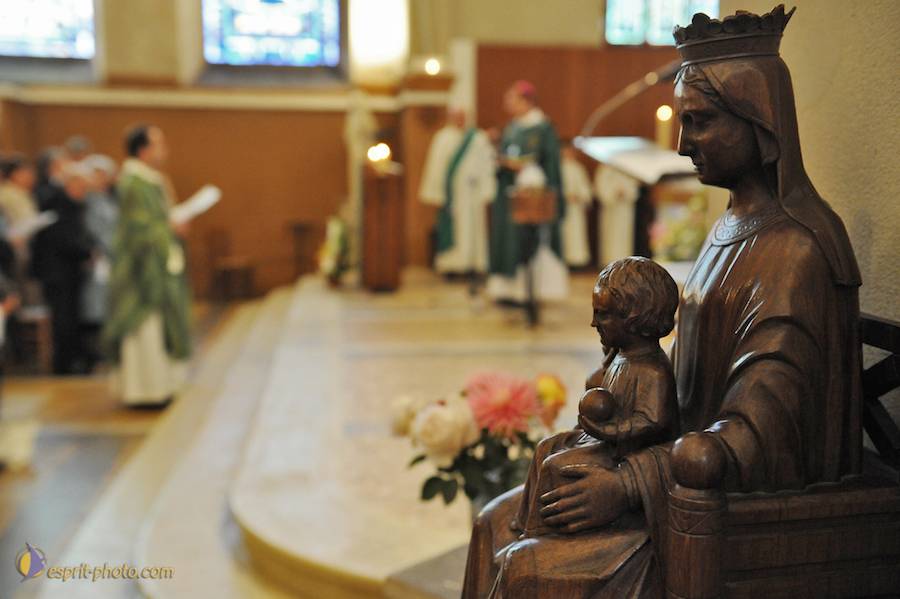 Nom de l'image : D30030864_1_(c)Norbert-JUNG — Description :